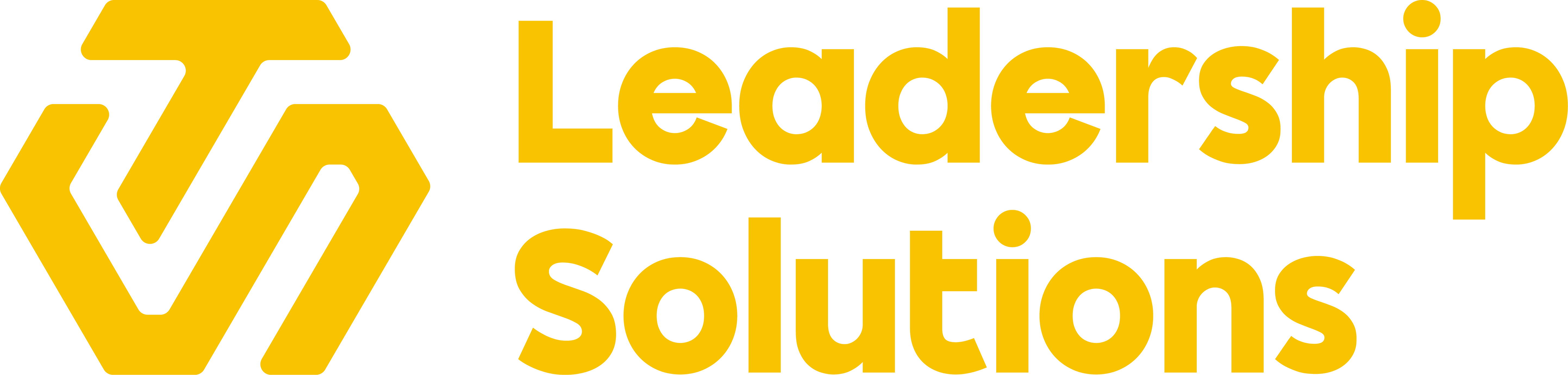 Leadership Solutions - Steve Turner